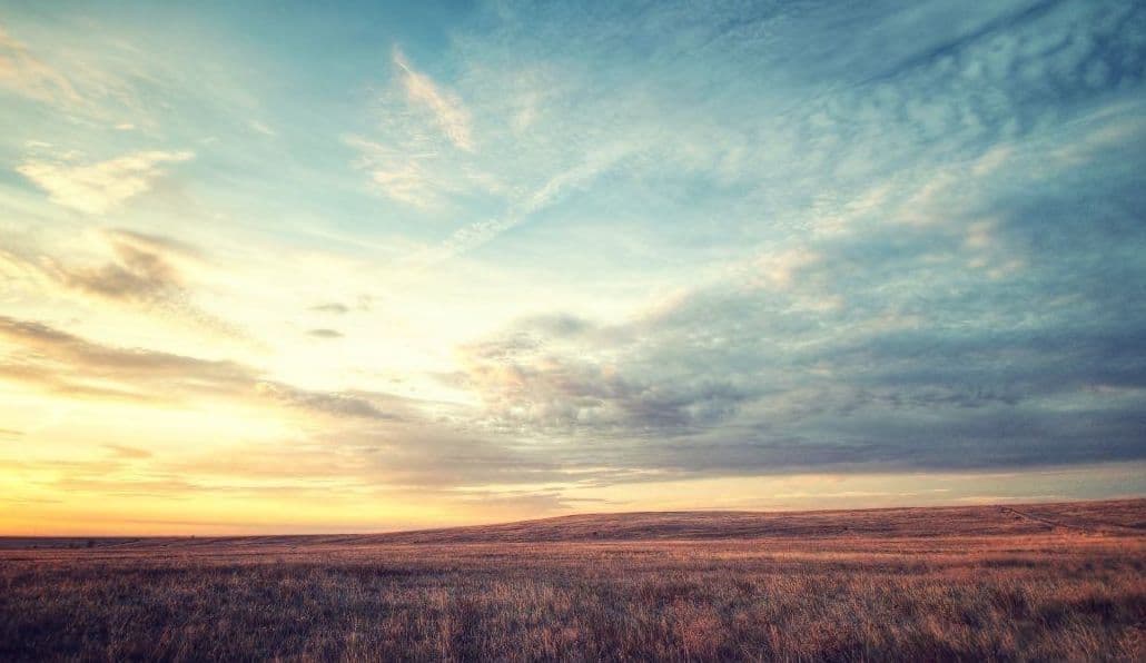 The Ailing Planet Summary Class 11th English